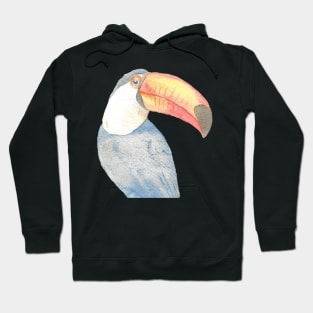 toucan watercolor portrait Hoodie